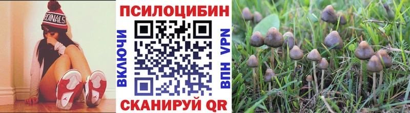 Псилоцибиновые грибы GOLDEN TEACHER Среднеколымск